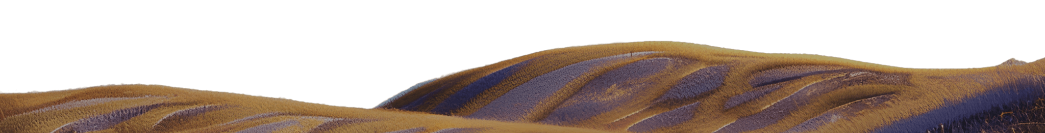 animation background image